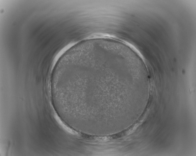 X0000078861003200611271407