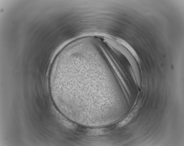 X0000078861004200611271407