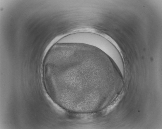 X0000078861005200611271407