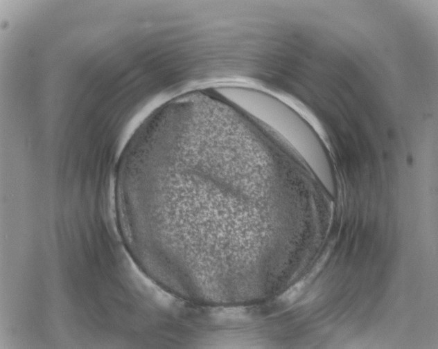 X0000078861006200611271407