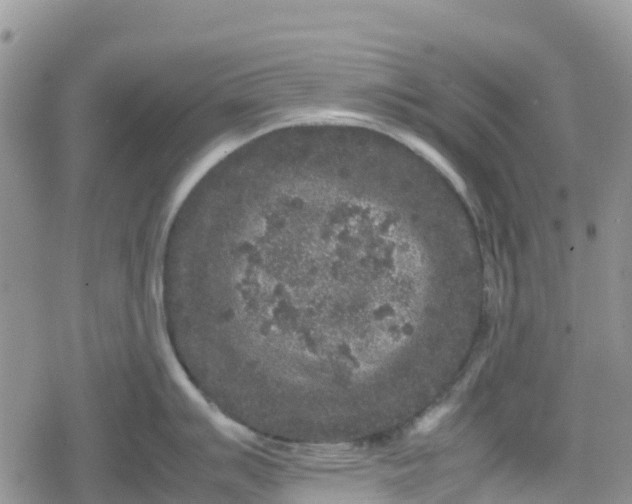 X0000078861007200611271407