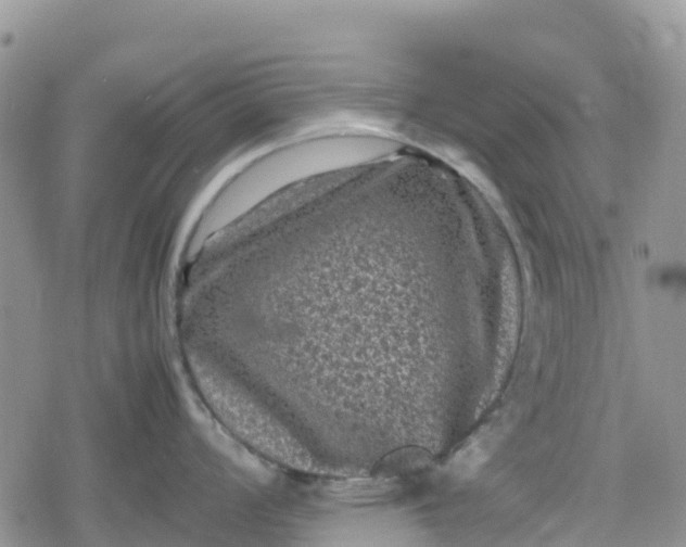 X0000078861008200611271407