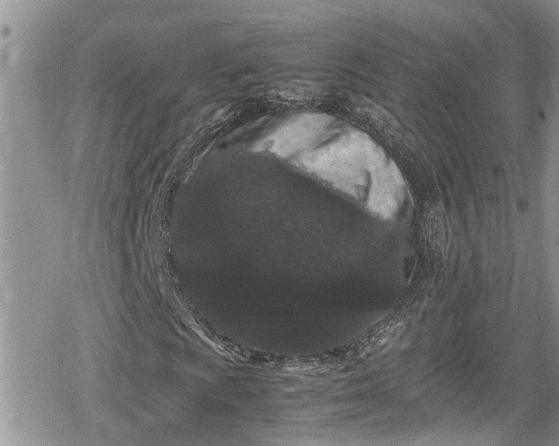 X0000078861009200611271406