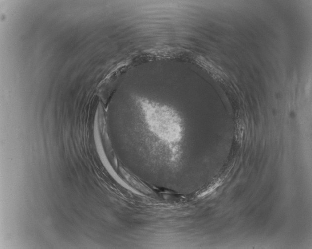 X0000078861010200611271406