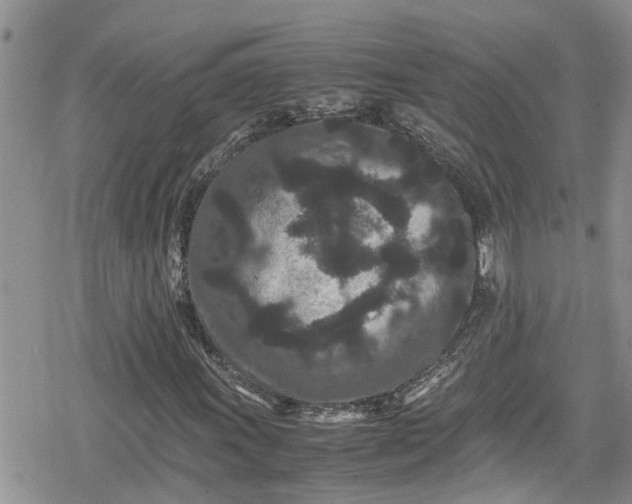 X0000078861011200611271406