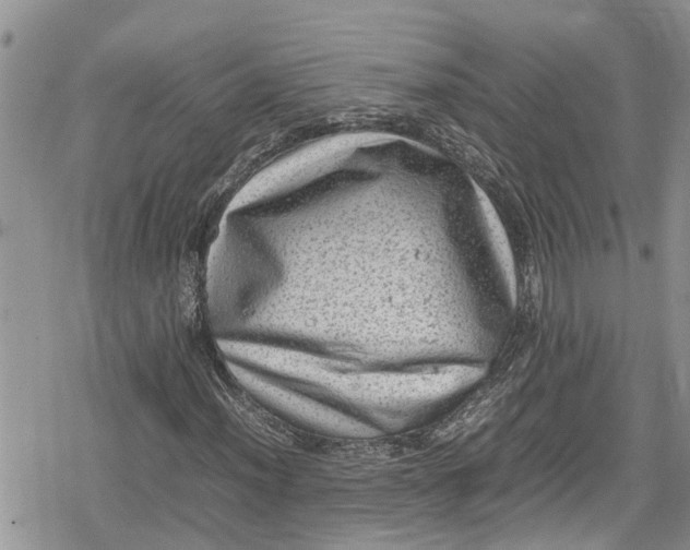 X0000078861012200611271406