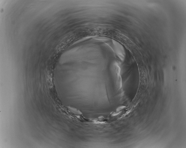 X0000078861013200611271406