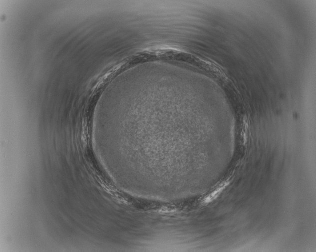 X0000078861014200611271406