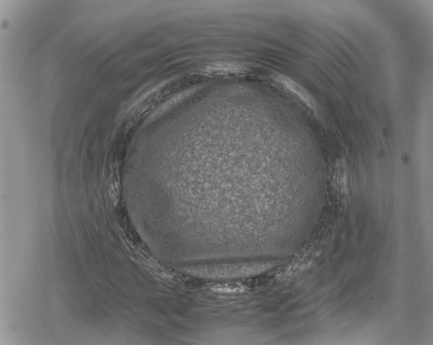 X0000078861015200611271406