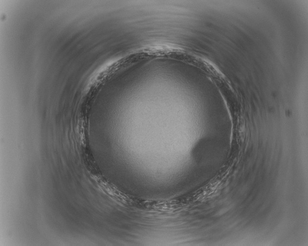 X0000078861016200611271406