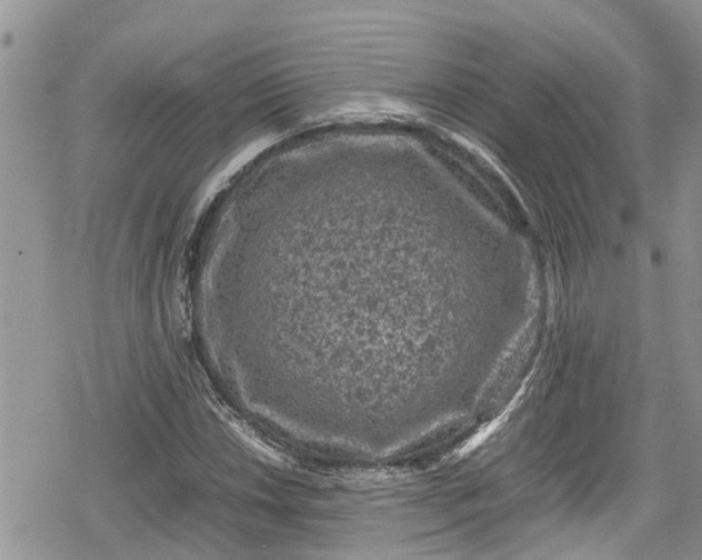 X0000078861018200611271406