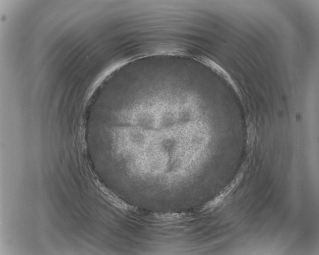 X0000078861019200611271406