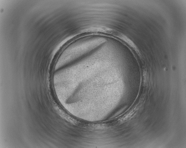 X0000078861020200611271406