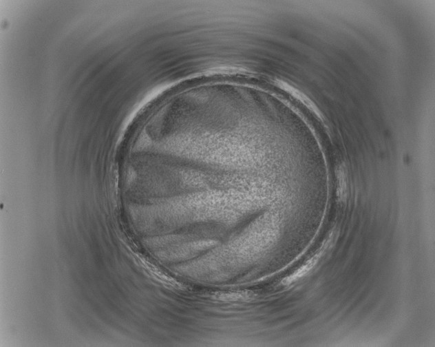 X0000078861021200611271406