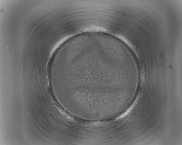 X0000078861022200611271406