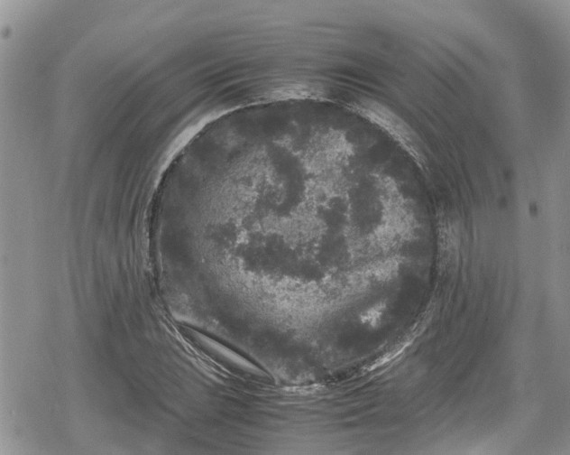 X0000078861023200611271406