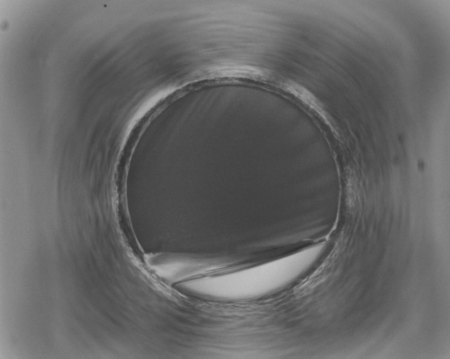 X0000078861024200611271406