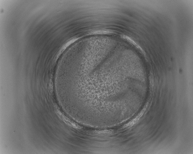 X0000078861025200611271406