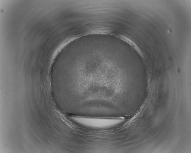 X0000078861027200611271406