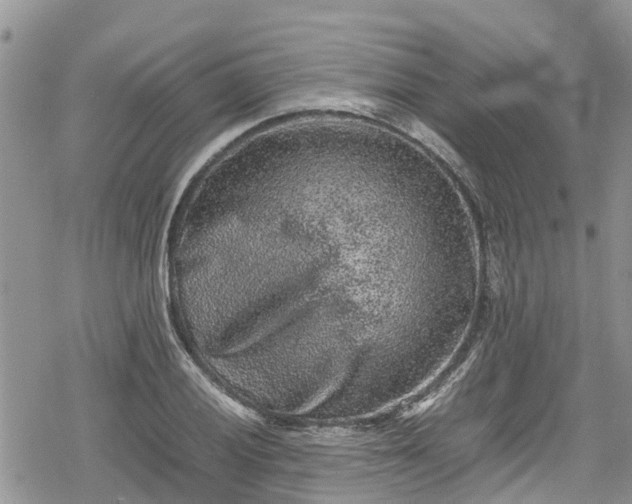 X0000078861028200611271406