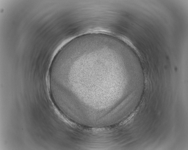 X0000078861032200611271406