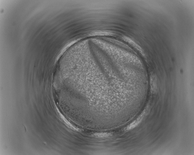 X0000078861033200611271406