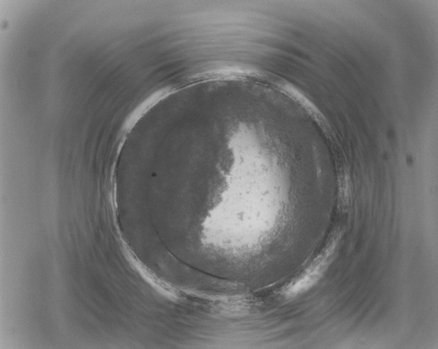 X0000078861034200611271407