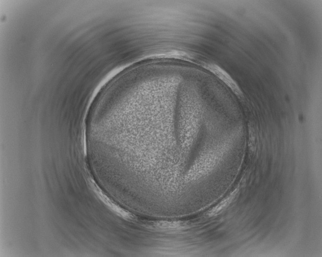 X0000078861036200611271407