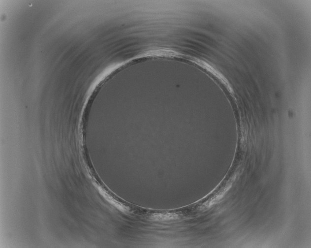 X0000078861037200611271407