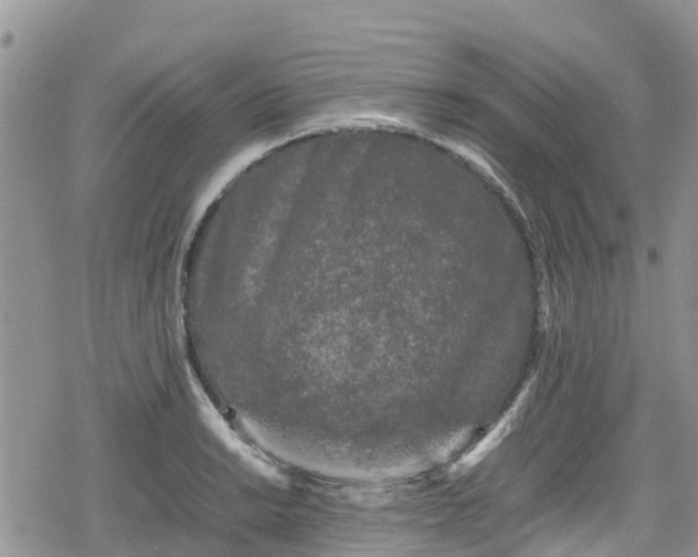 X0000078861038200611271407