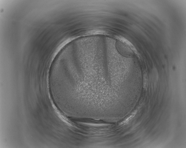 X0000078861039200611271407