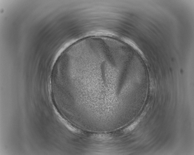 X0000078861040200611271407