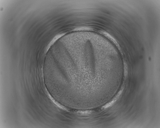 X0000078861041200611271407