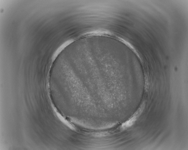 X0000078861042200611271407