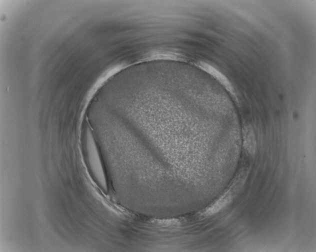 X0000078861043200611271407