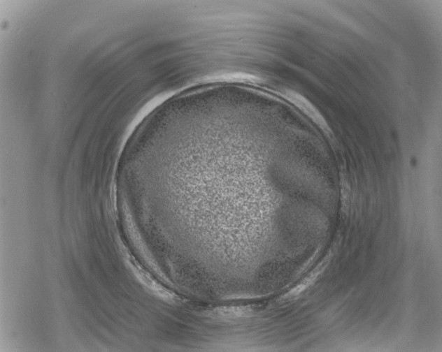 X0000078861044200611271407