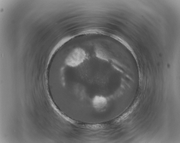 X0000078861045200611271407