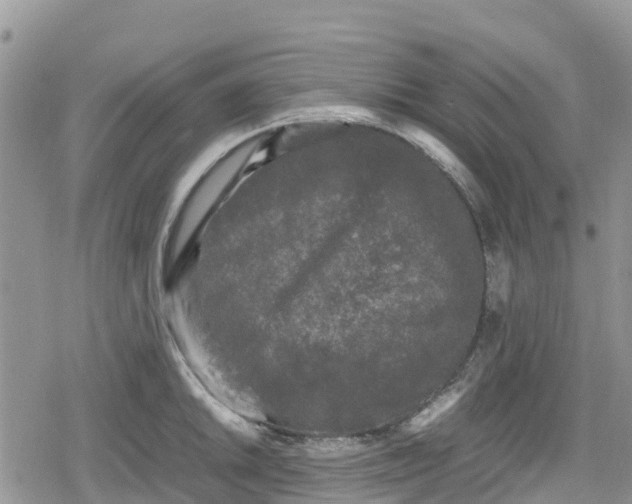 X0000078861046200611271407