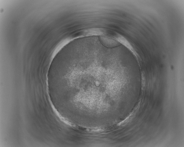 X0000078861047200611271407