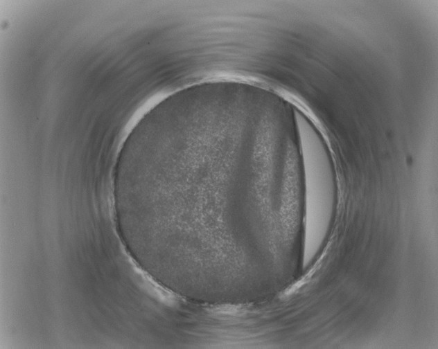 X0000078861048200611271407