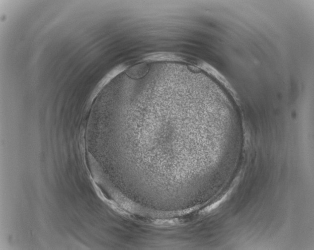 X0000078861049200611271407