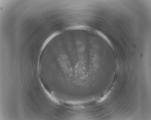 X0000078861050200611271407