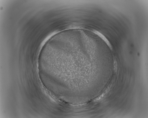 X0000078861051200611271407