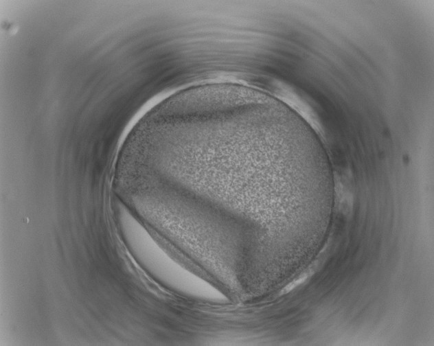 X0000078861052200611271407