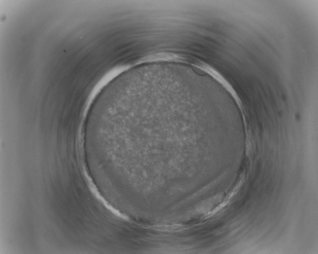 X0000078861053200611271407