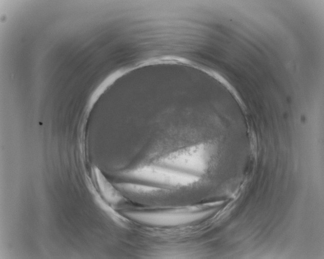 X0000078861054200611271407