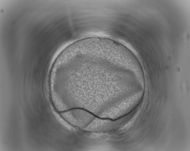 X0000078861056200611271407