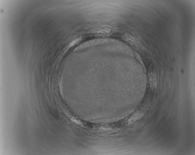 X0000078861057200611271406