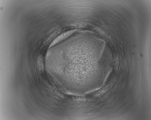 X0000078861058200611271406