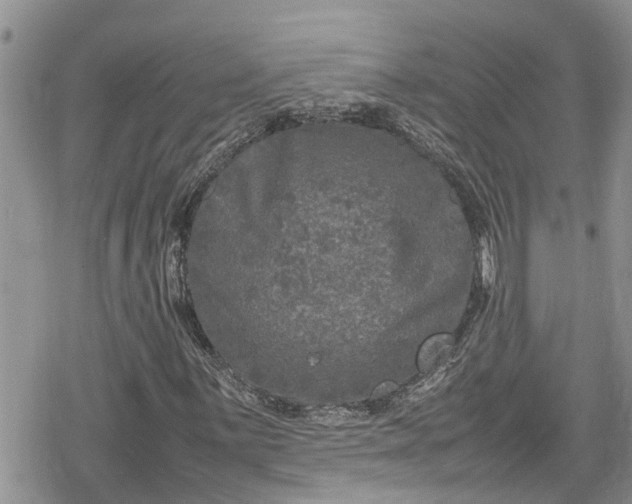 X0000078861059200611271406